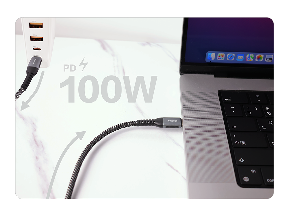 Type-C to C Charging Cable