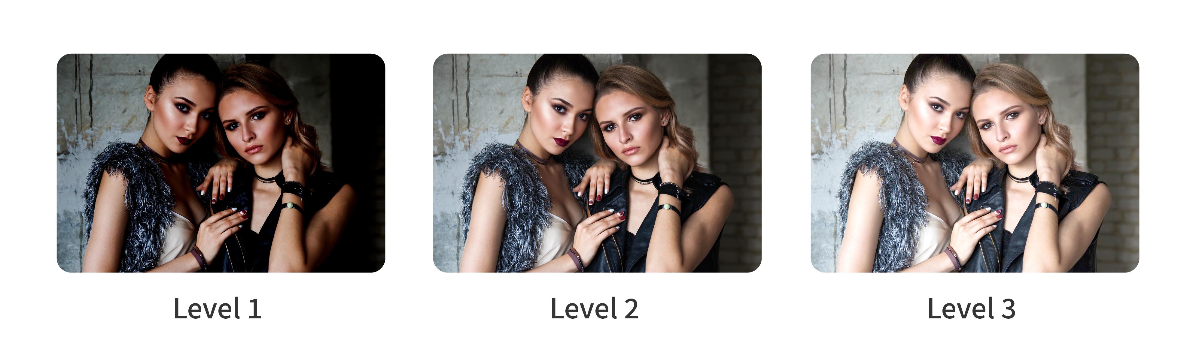 VCP1 Adjustable Lighting Level